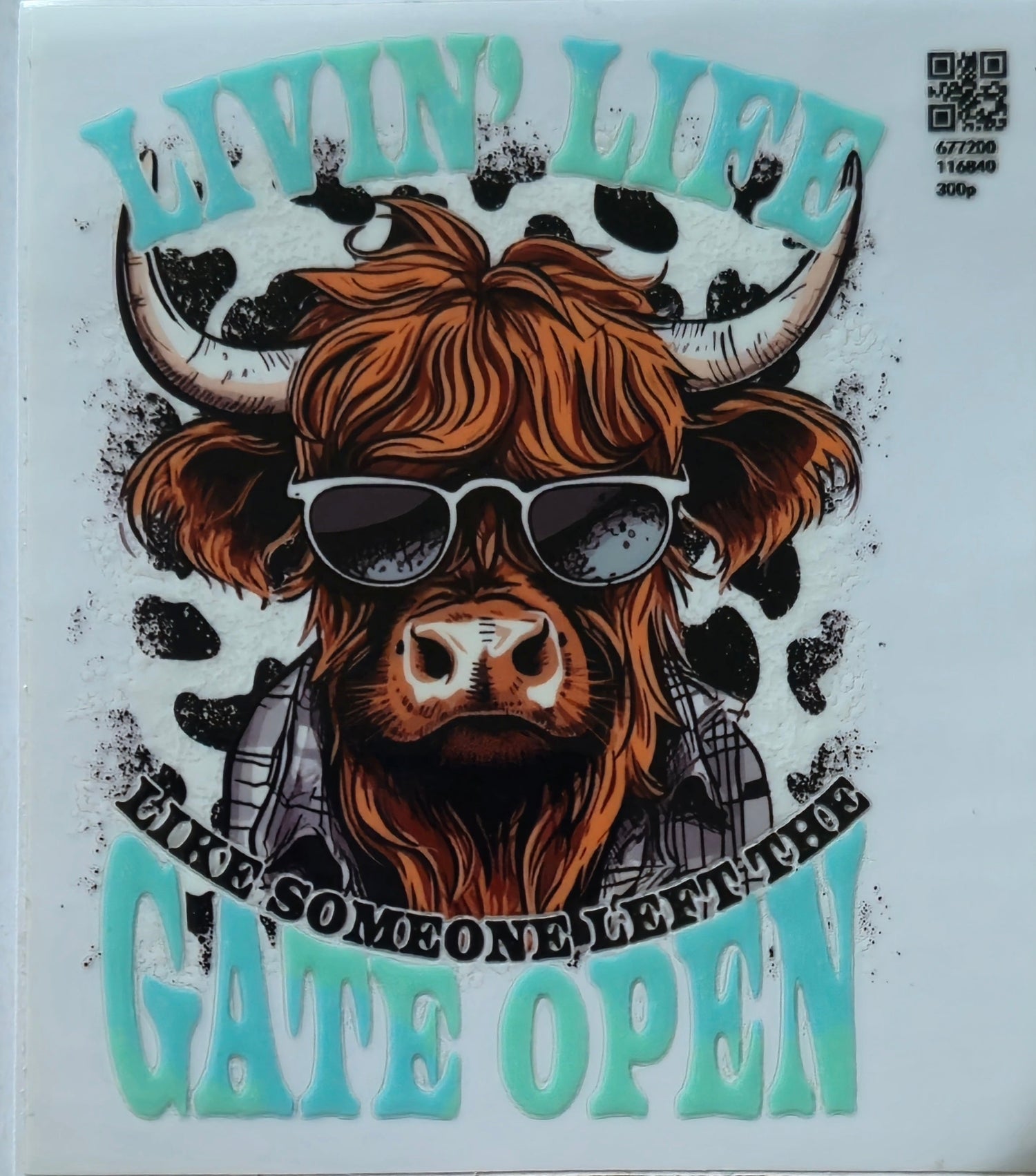 Highland Cows