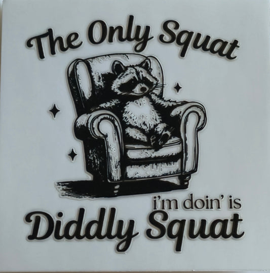 (256) The only squat I'm doing is diddly squat